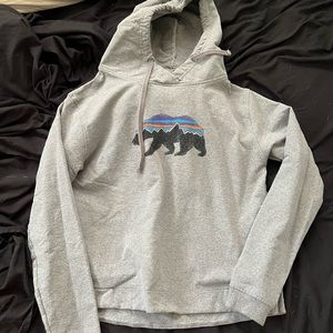 patagonia sweatshirt/hoodie